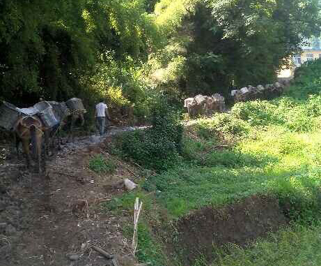 斗门区马帮运输队