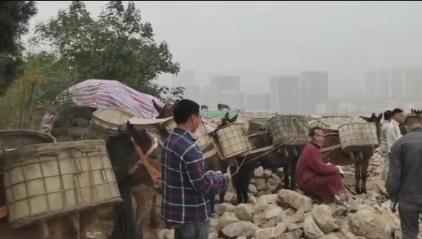 斗门区骡马山区运输