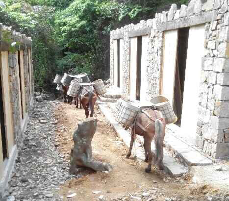 斗门区马队运输队