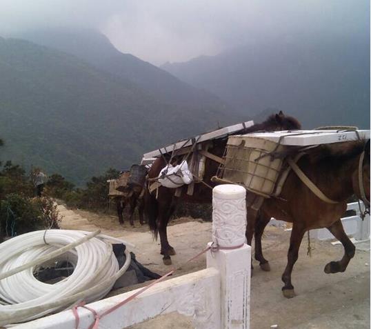 斗门区山区马帮运输