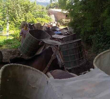 斗门区骡马运输